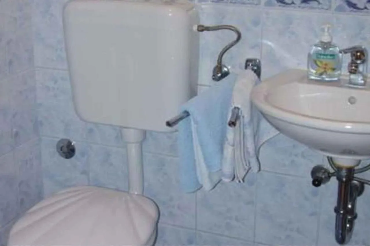 Apartment In Porec - Istrien 43258